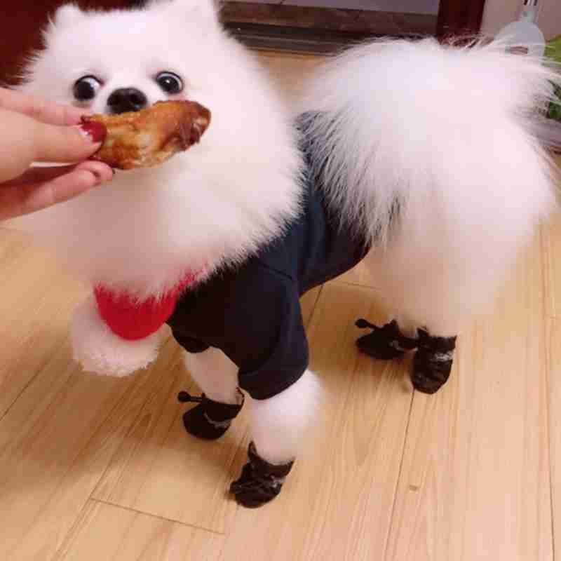 4Pcs Winter Waterproof Pet Dog Shoes Anti-slip Rain Boots Thick Warm Cat Dog Footwear Convenient Drawstring Puppy Shoes