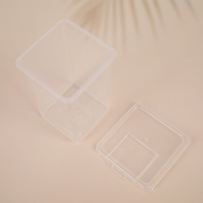 1pc Feeding Box Reptile Cage Hatching Container Rearing Tank for Lizards Terrarium Tortoise Spider Beetle Insect House