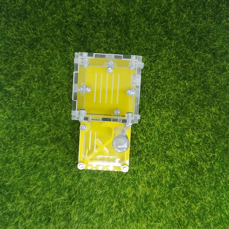 Gelb Ameise Bauernhof Palme Nest Neue Hinten Flugzeug Acryl Nest Ameise Werkstatt Haustier Ameise Reptil Terrarium