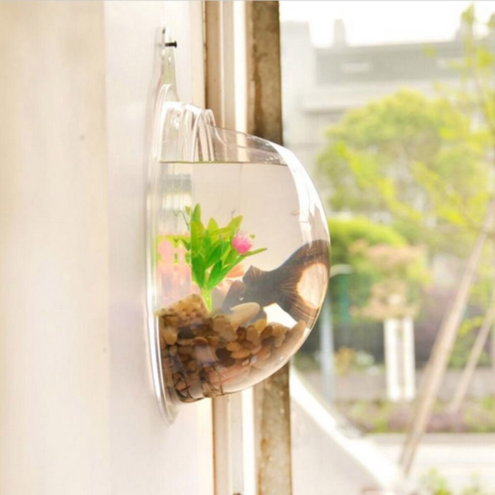 Transparent Plant Wall Mounted Hanging Fish Tank Flower Round Vase Pot Acrylic Bowl Bubble Aquarium Home Decoration 2 Sizes