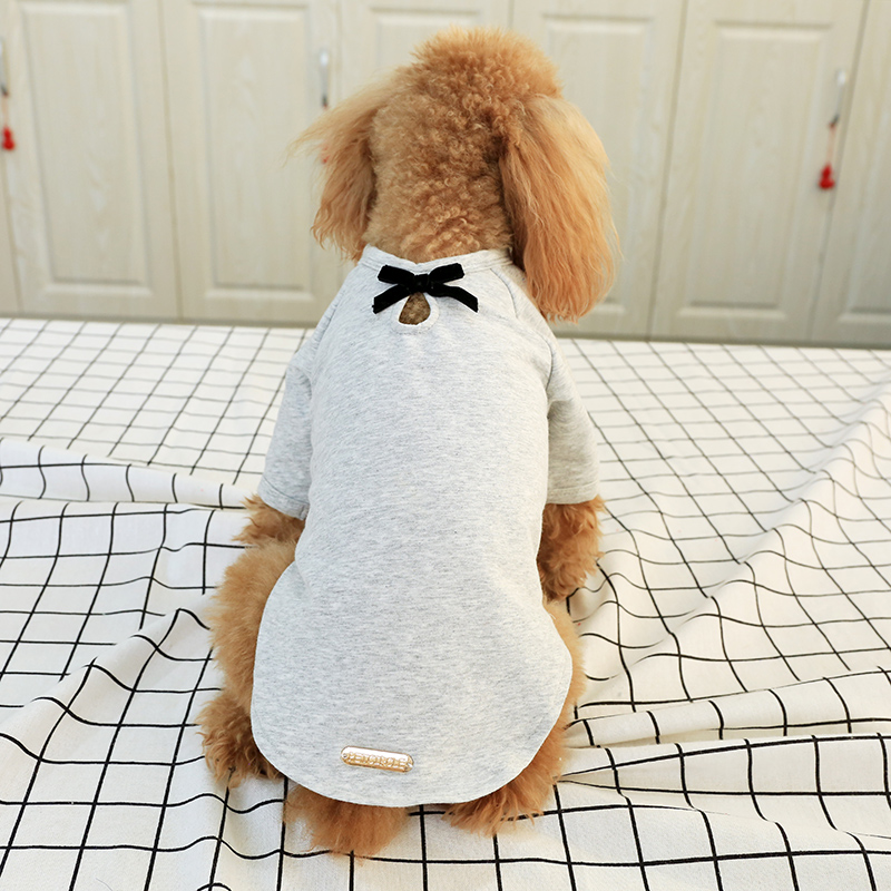 Hond Kleren Teddy Hond En Najaar Twee Voeten Kostuum Bichon Pommeren Kleine Hond Puppies Gouden Standaard Ronde Hals Shirt