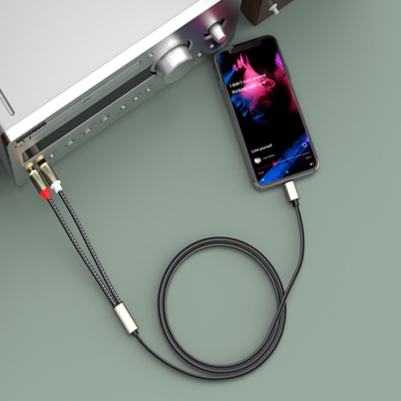 Cable de Audio USB C a 2 RCA de 10m y 5m, conector Jack de 3,5mm tipo C a 2 RCA Aux, Cable adaptador de Audio, cable divisor para TV Box, altavoz de tv apple