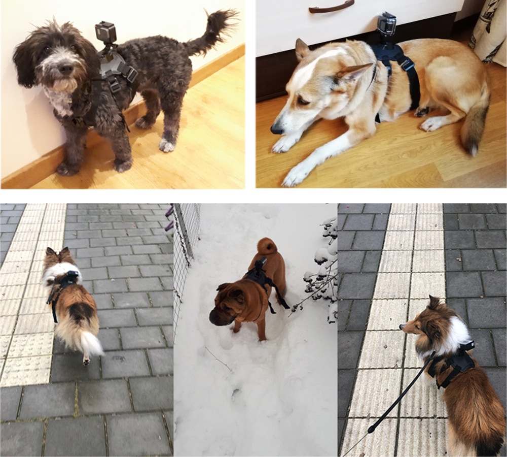 SCHIEßEN bringen Hund nutzbar machen Brustgurt für GoPro Held 9 8 7 5 Sitzung SJCAM SJ4000 M20 Xiaomi Yi 4K H9r DJI Aktion Kamera Zubehör