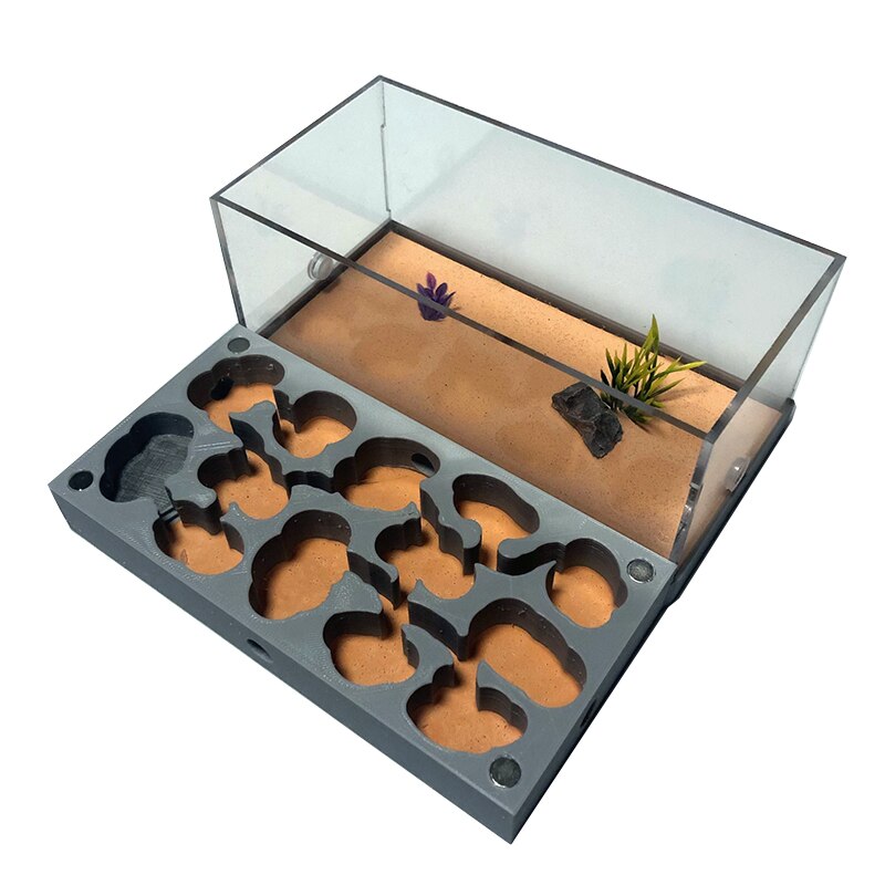 3D Afdrukken Platte Ant Farm Met Voeden Gebied Beton Ant Nest Met Drinker Sterk Hydraterende Mier Huis Huisdier Anthill Workshop