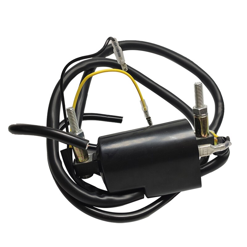 Bobine Set 12 Volt 12 V 4 Ohm Dual Output Bobine Voor Suzuki GS/GSX R /GV Madura Metal & Plastic