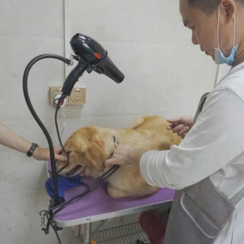 Dual-use Pet Hair Dryer Bracket Telescopic Any Shape Fixation Frame Multipurpose Pet Grooming Accessories