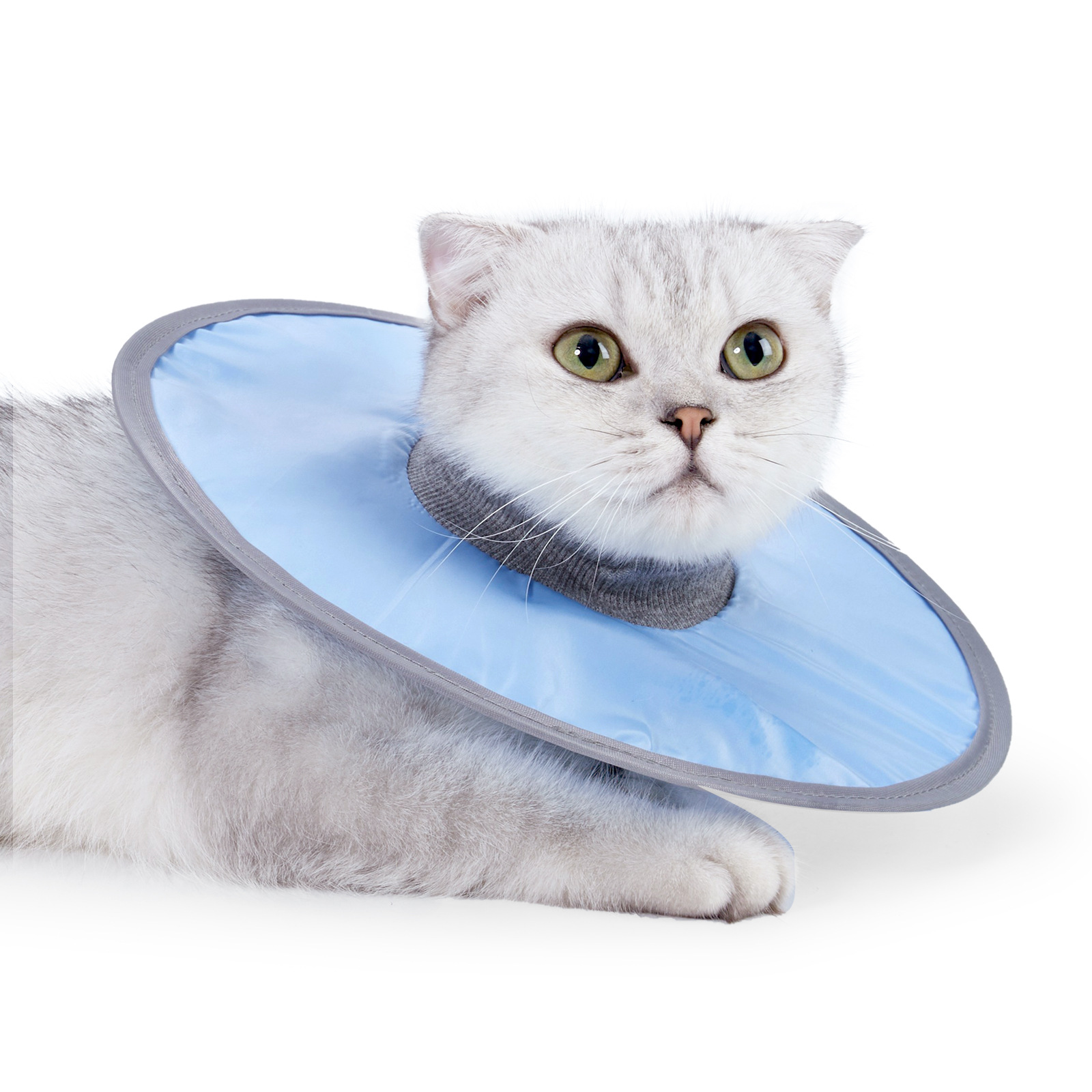 Coleira de cone de gato ajustável, coleira de recuperação de gato após cirurgia, cura de feridas, pescoço de gato, coleira elisabetana para gato gatinho: M / Branco