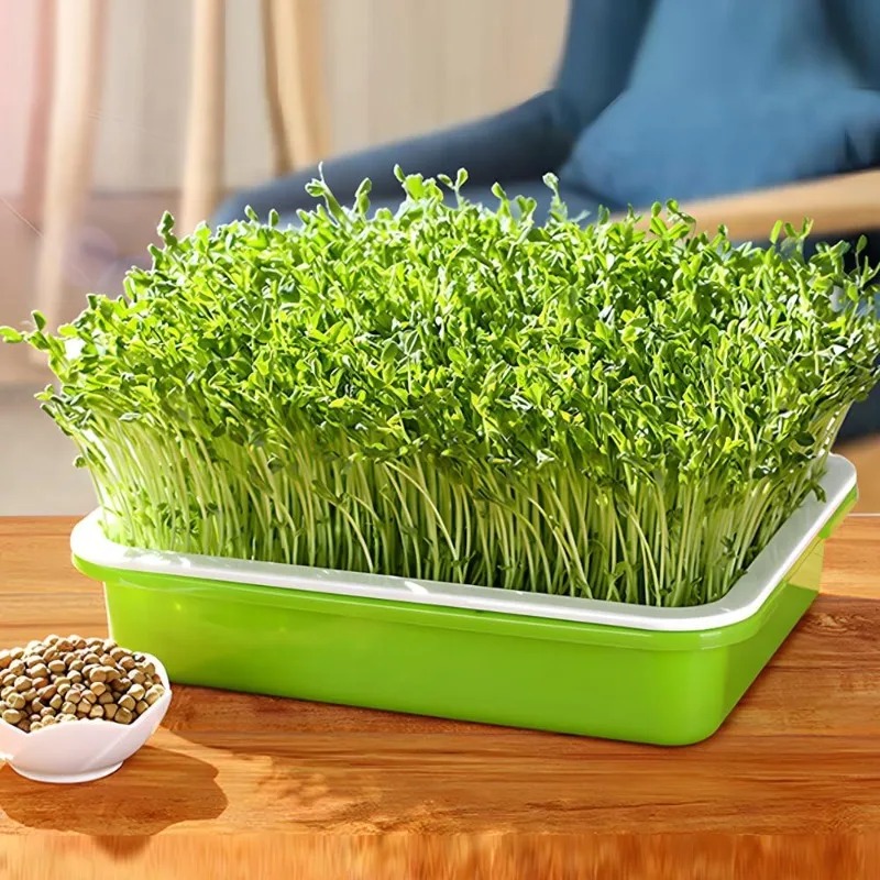 1/3PCS Plastic Grow Kwekerij Potten Groente Grondloze Kwekerij Trays Zaad Kieming Lade Zaailing Spruit Plaat Tuin