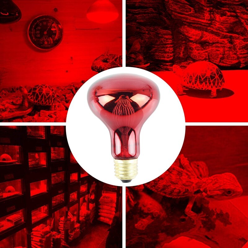 Paquete de 2 bombillas de calor infrarrojas de 100W, bombillas de calor rojas para mascotas, lagartos, dragones barbudos, camaleones, serpientes, Reptiles y anfibios