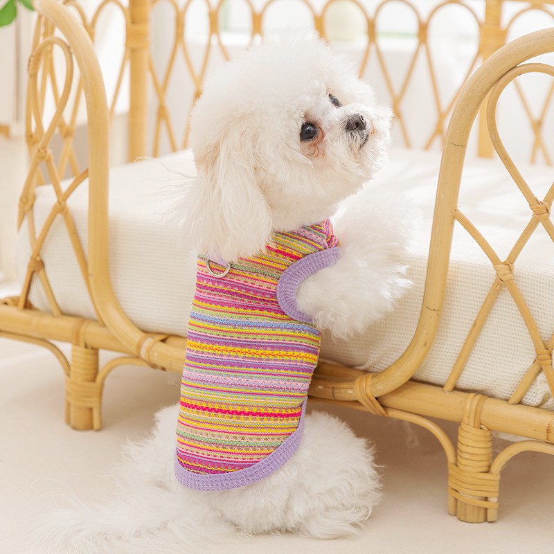 Koelvest voor honden Zomer hondenkleding Ademend mesh Kat T-shirt Chihuahua Bichon Kleding Hond Meisje Kostuum Dun puppyshirt