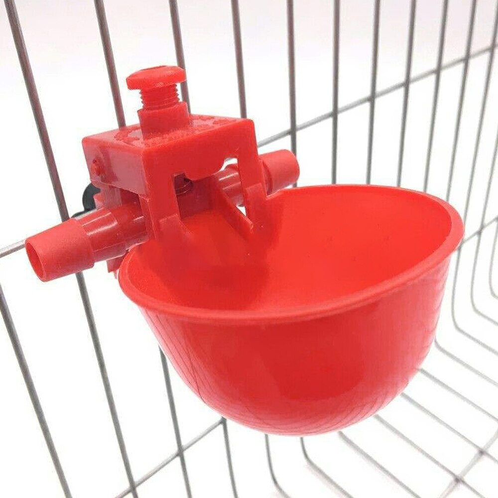 Kip Drinker Kip Kopjes Rode Kwartel Kip Drinker Automatische Kom Kip Coop Feeder Voor Drinkwater