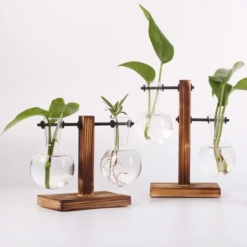 Hydrokultur-Pflanze, Terrarium, Vasevase, Dekoration für Zuhause, Glasflasche, Hydrokultur-Desktop-Dekoration, Büro, grüne Pflanze, kleiner Topf