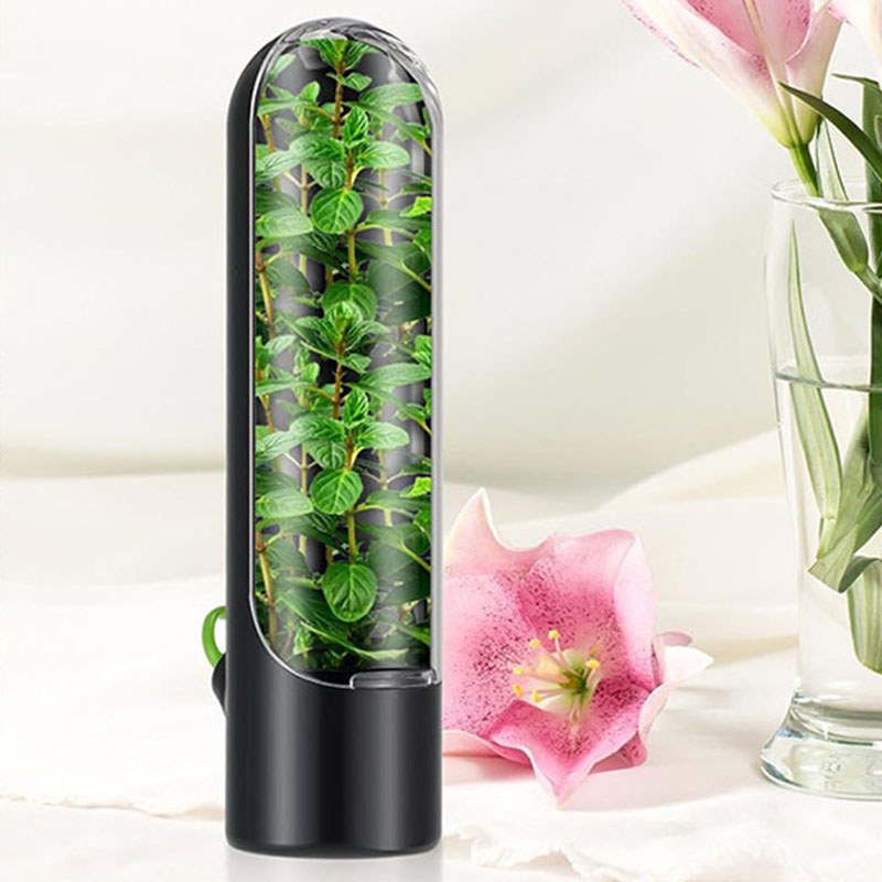 Frigorífico, recipiente para verduras y hierbas, botella de conservación fresca, contenedor de almacenamiento ahorrador para el hogar, suministros de cocina: Negro