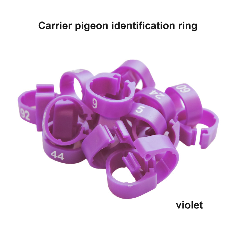 100Pcs Duif Been Met Gevogelte Duif Vogel Papegaai Clamp Ring Met Voet Ring Vogel Markering Ring Huisdier Vogel Benodigdheden vogel Accessoires: purple