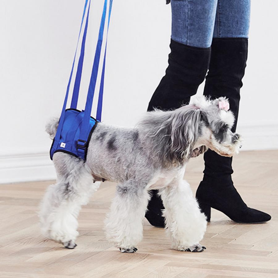 Arnés ajustable para ayuda a caminar para perros discapacitados, Correa deportiva para rehabilitación de perros, correa para adiestramiento al aire libre