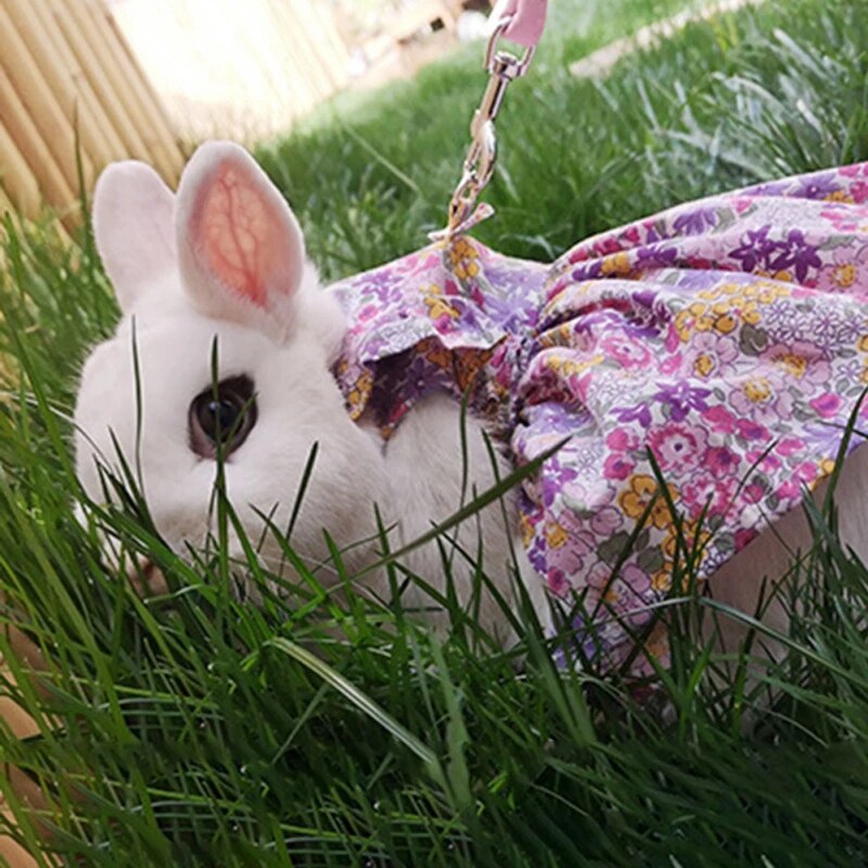 Small Animal Harness Soft Floral skirt Clothes Travel Chest Strap Rabbit Ferret Bunny Hamster Small Pet Supplies Vest Leash Set