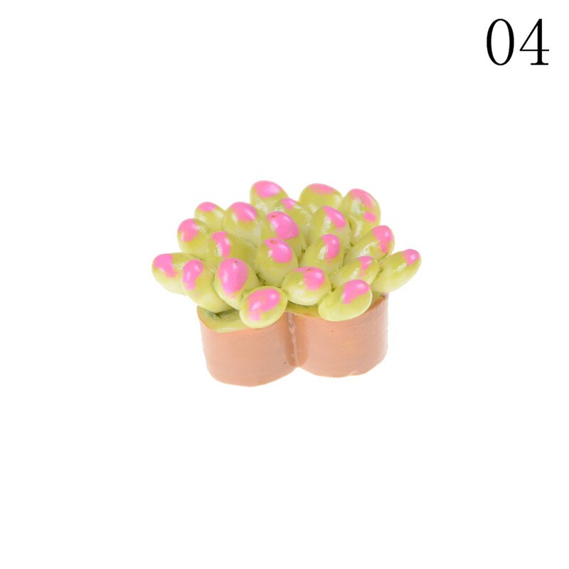 Dollhouse Succulent Plant Office Resin Desktop Birthday Flower Home Decor Craft DIY Miniature Ornament Furniture Toys: 13