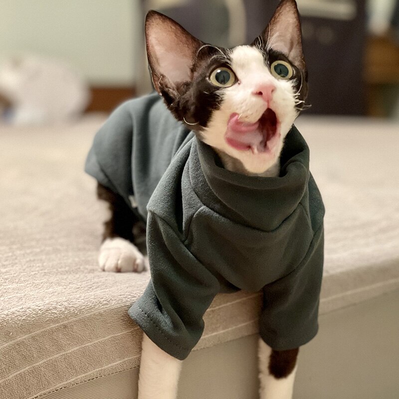 DUOMASUMI-ropa para gato Sphynx de algodón suave para bebé, disfraz de Gato sin Pelo, para Otoño e Invierno