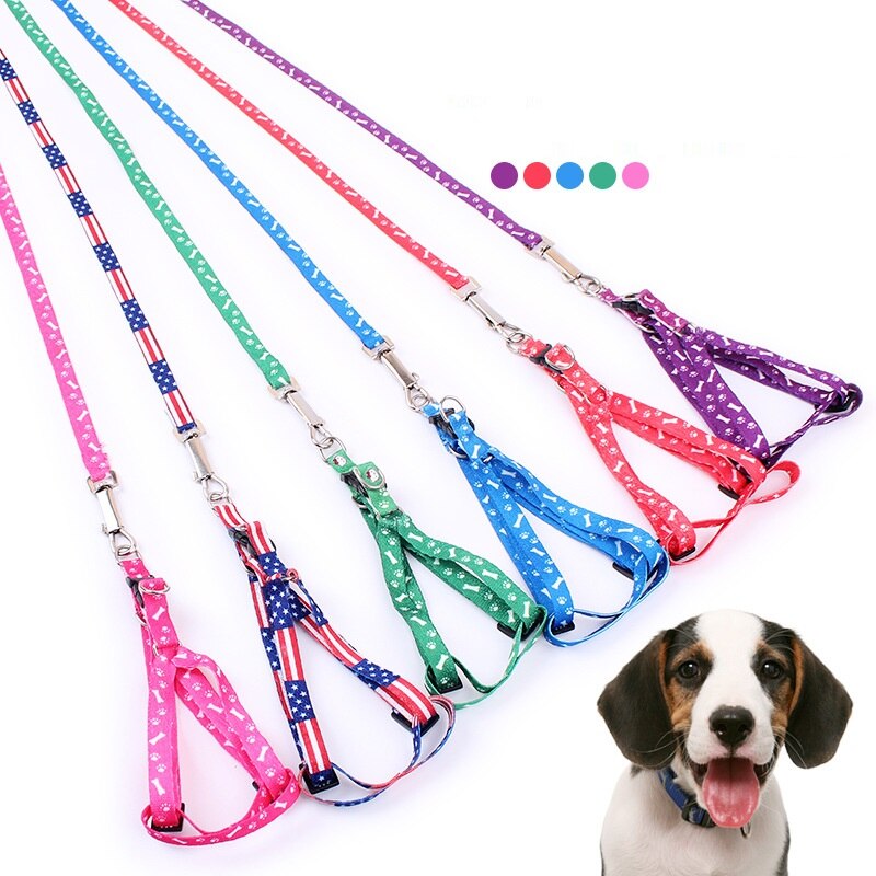 Conjunto de arnés y correa con estampado de hueso para perro, conjunto de para Chihuahua, para perros pequeños, accesorios ajustables para cachorros que caminan, Verano