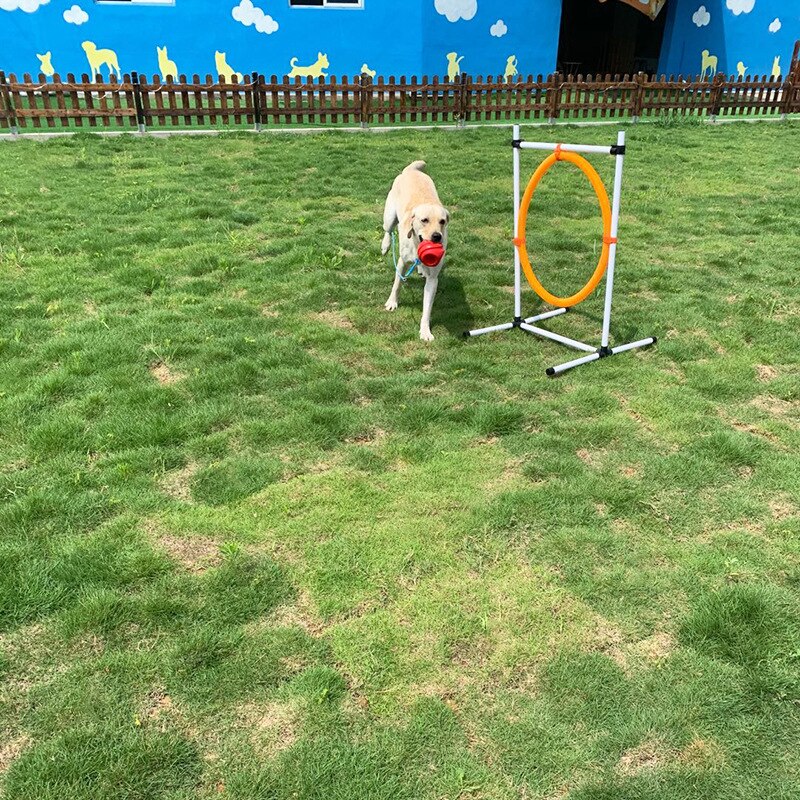 Kit de dressage de chien tige d'enroulement, anneau de saut, aire de repos, tige de saut, matériel en plastique fournitures de formation en plein air