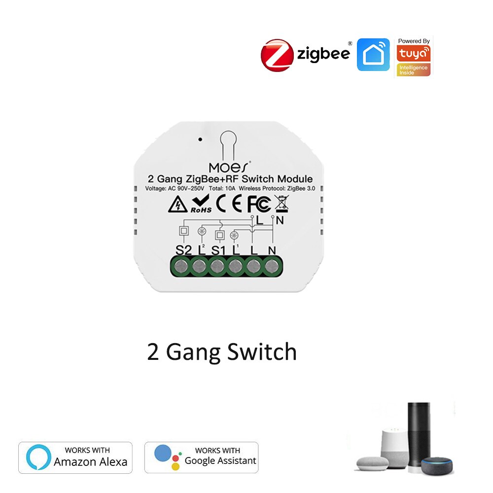 Mini Tuya Zigbee Draadloze Smart Diy Schakelaar 10A Ondersteunt 2 Manier Controle Smart Home Automation Module Werkt Met Alexa Google thuis: 2 Gang Switch