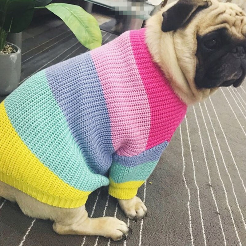 Varmt hundetøj vinter regnbue kæledyr hund sweater fede hunde frakke fransk bulldog kæledyr tøj til små mellemstore hunde hvalpe kostume mops