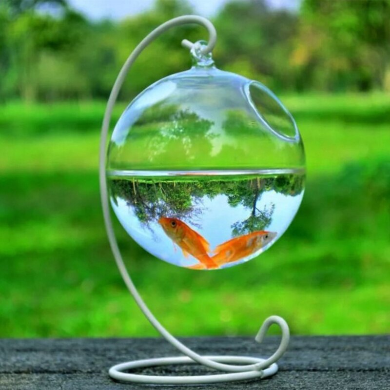 Transparent Spherical Glass Handmade Fish Tank Round Shape Hanging Glass Aquarium Fish Bowl Clear Plant Terrarium