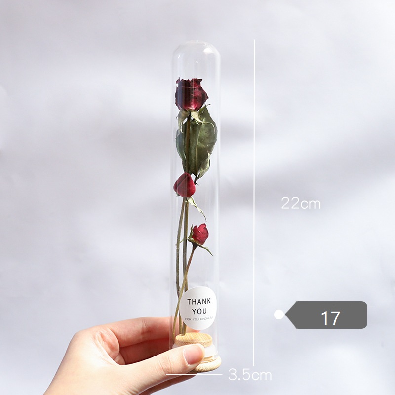Dried Flower Glass Test Tube Decorations Family Living Room Study Specimens Ornaments: 17