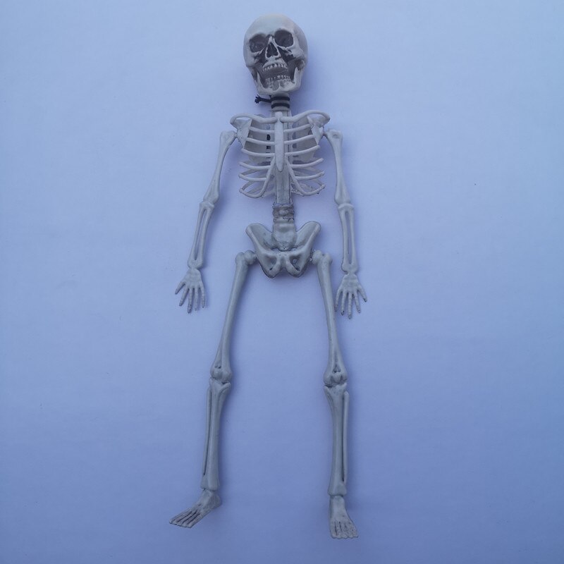 Accessoires d'halloween squelette crâne peur | Crâne réaliste à la main, corps humain, posable, modèle d'anatomie, décoration de Festival fête