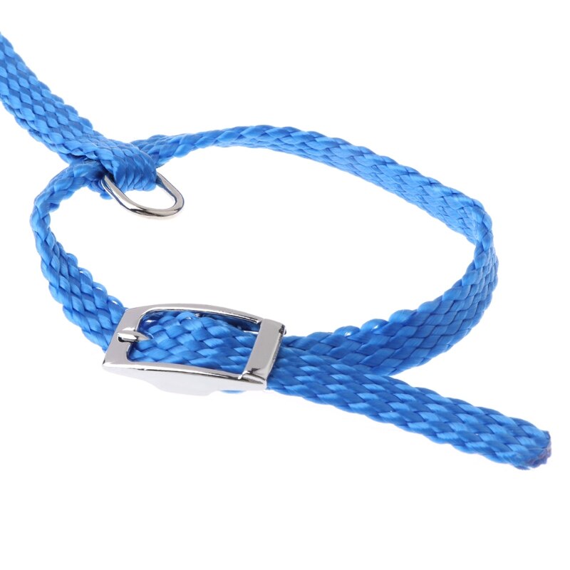 Arnés para erizo ajustable para entrenamiento juego cuerda de tracción para mascotas