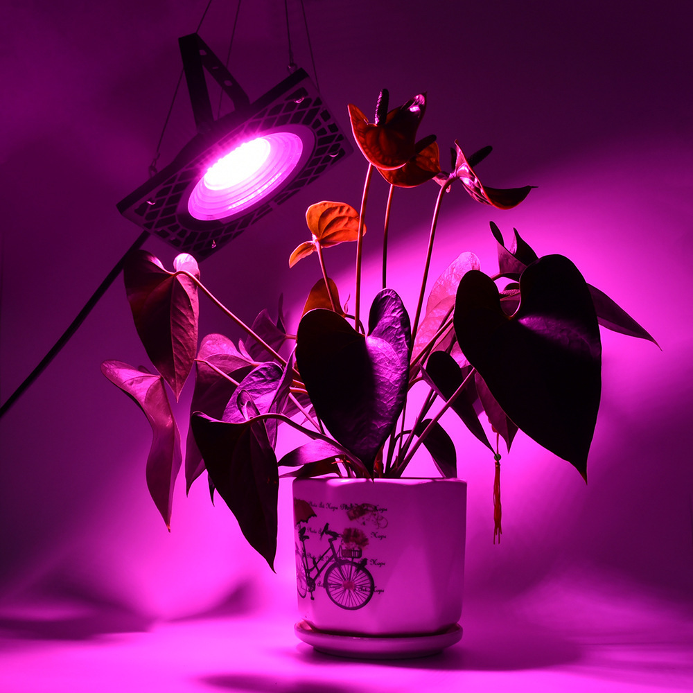 500W COB led grow light Full spectrum grow led 400-830NM Honeycomb cooling 4500lm for indoor grow tent seeding plant grow