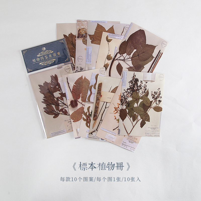 Papel de fundo de borboleta, papel de lixo de papel de diário, scrapbook de plantas, decorativo, vintage, papel de fundo de artesanato faça você mesmo com 10 peças: A