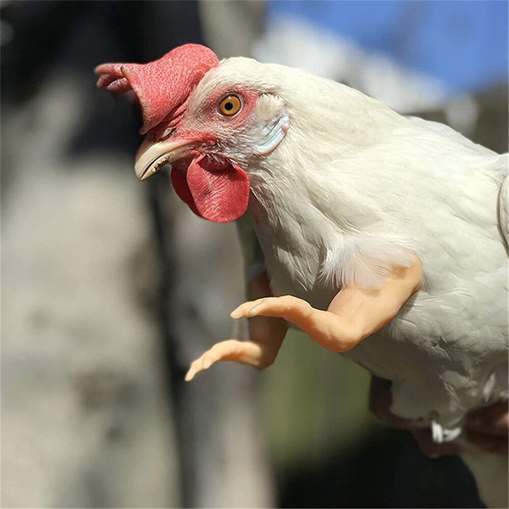 Bras de poulet musclé, Gag, bras de poulet à porter,:  Light Dinosaur Claw