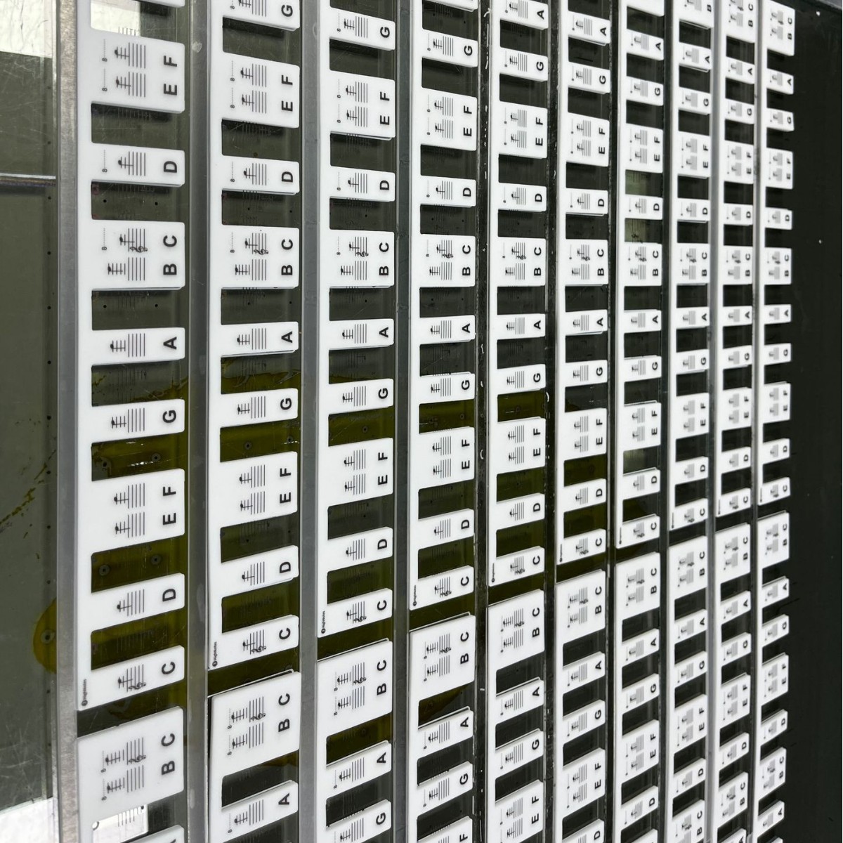 88Key Piano Keyboard Stickers Removable Piano Keyboard Note Labels for Learning Piano Notes Guide for Beginner: WHITE