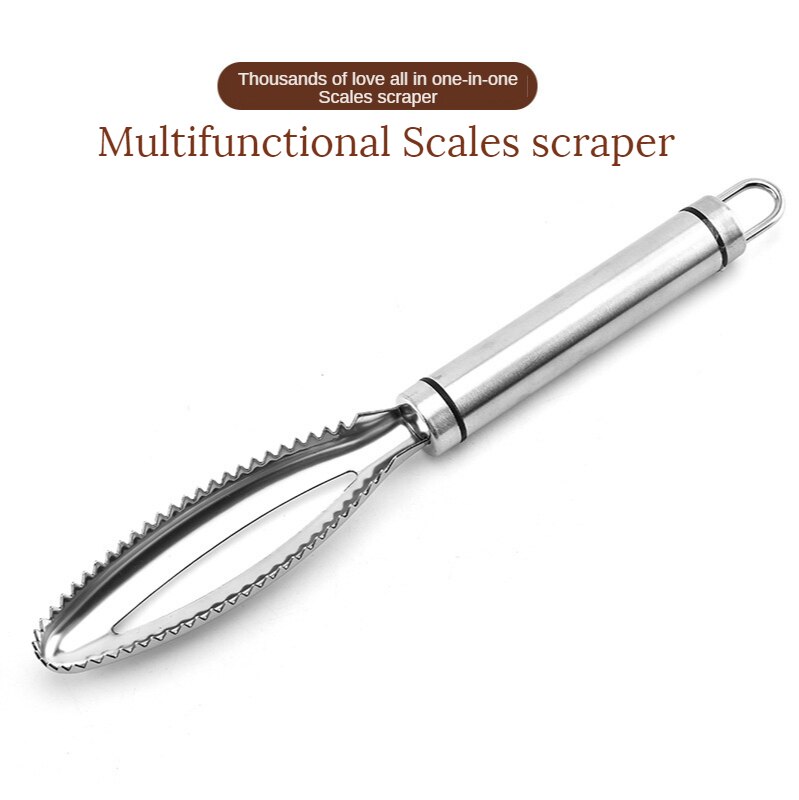 8-inch 304 stainless steel fish scale scraper kitc... – Grandado