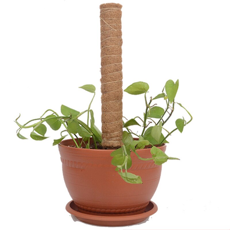 Poste de tótem para escalada de plantas, palo de palma de coco seguro para jardinería, soporte para plantas, vid trepadora y enredaderas, herramientas auxiliares