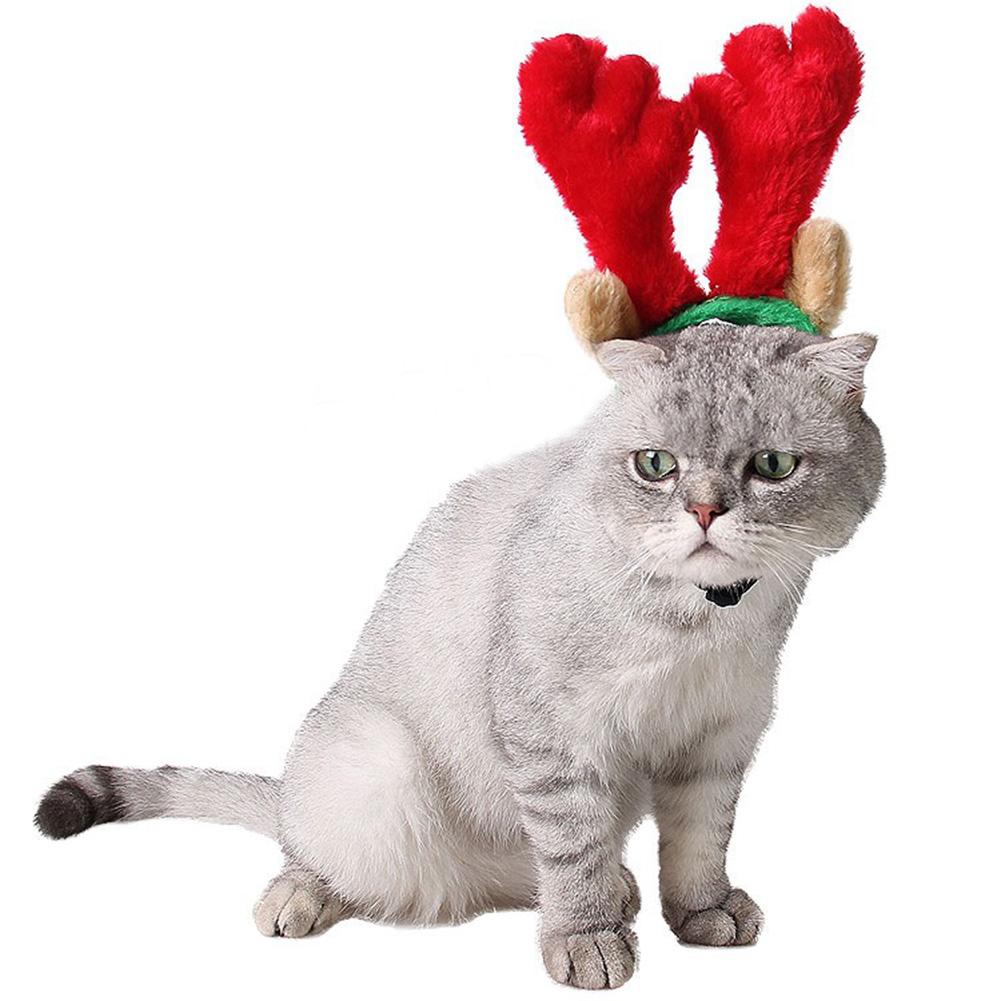 Pet Hond Kat Hoofdband Gewei Leuke Haarband Christmas Party Winter Kleding Kerst Decor Accessoires Voor Hond katten