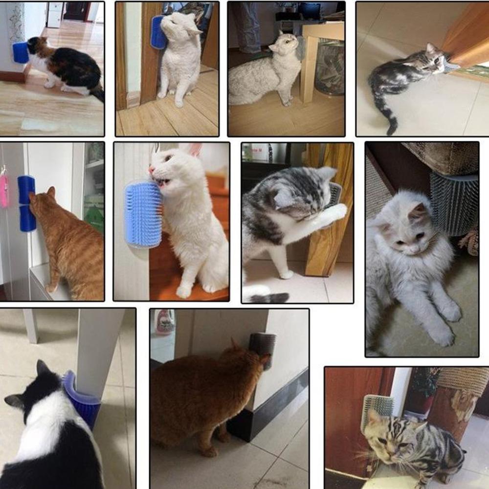 Instrumento de aseo Gato para herramientas para el cuidado de mascotas, depilación de perros, cepillos de pelo de gato, recortadores de pelo fornecimentos de mascotas