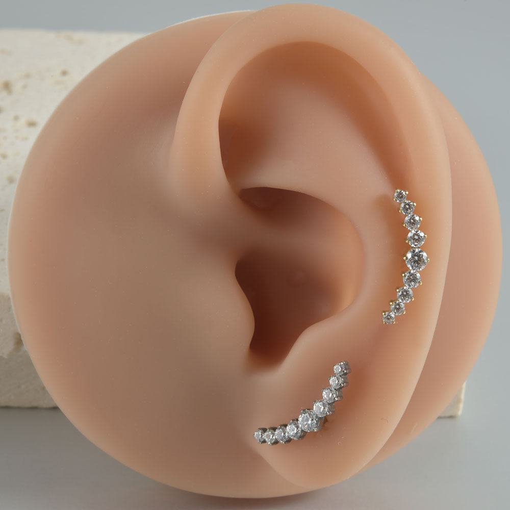 1pcs G23 Solid Titanium CZ Paard oog Bloem Kraakbeen Oorbel Stud 16G Intern Schroefdraad Zon Helix oor Tragus Piercing Sieraden