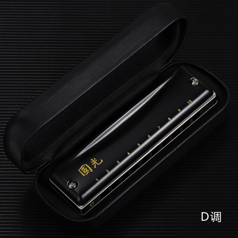 Armonica blues a 10 fori, strumenti musicali per organi armonica professionali, erpi, chiave professionale di C per Performanc: prugna