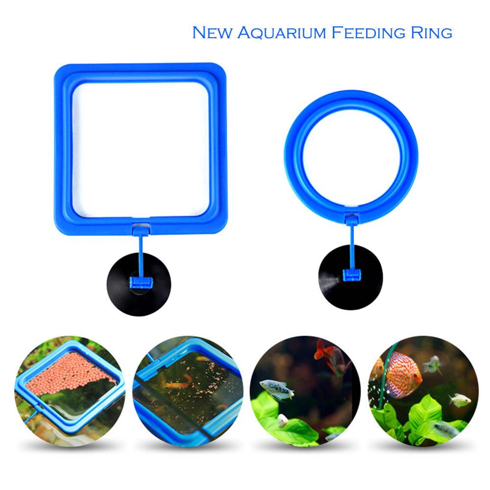 4 Stück Aquarium Pflanzenhalter - Wasserpflanzen Fixierring 4x3,4x3,5cm ABS