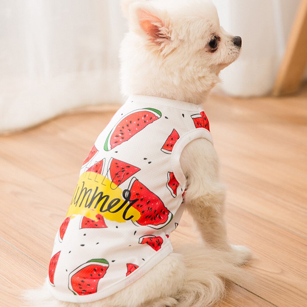 Miflame Hello Summer ropa de perro chalecos para disfraces de mascotas Chihuahua Pomerania camisetas de camisas con de chaleco para mascota playera para mascota