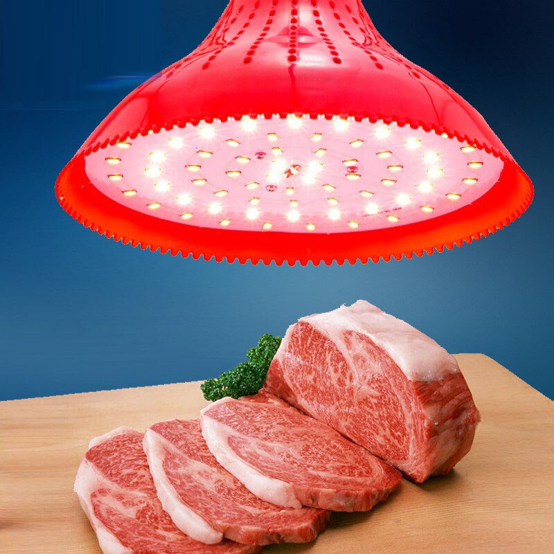 Led vlees verse lamp