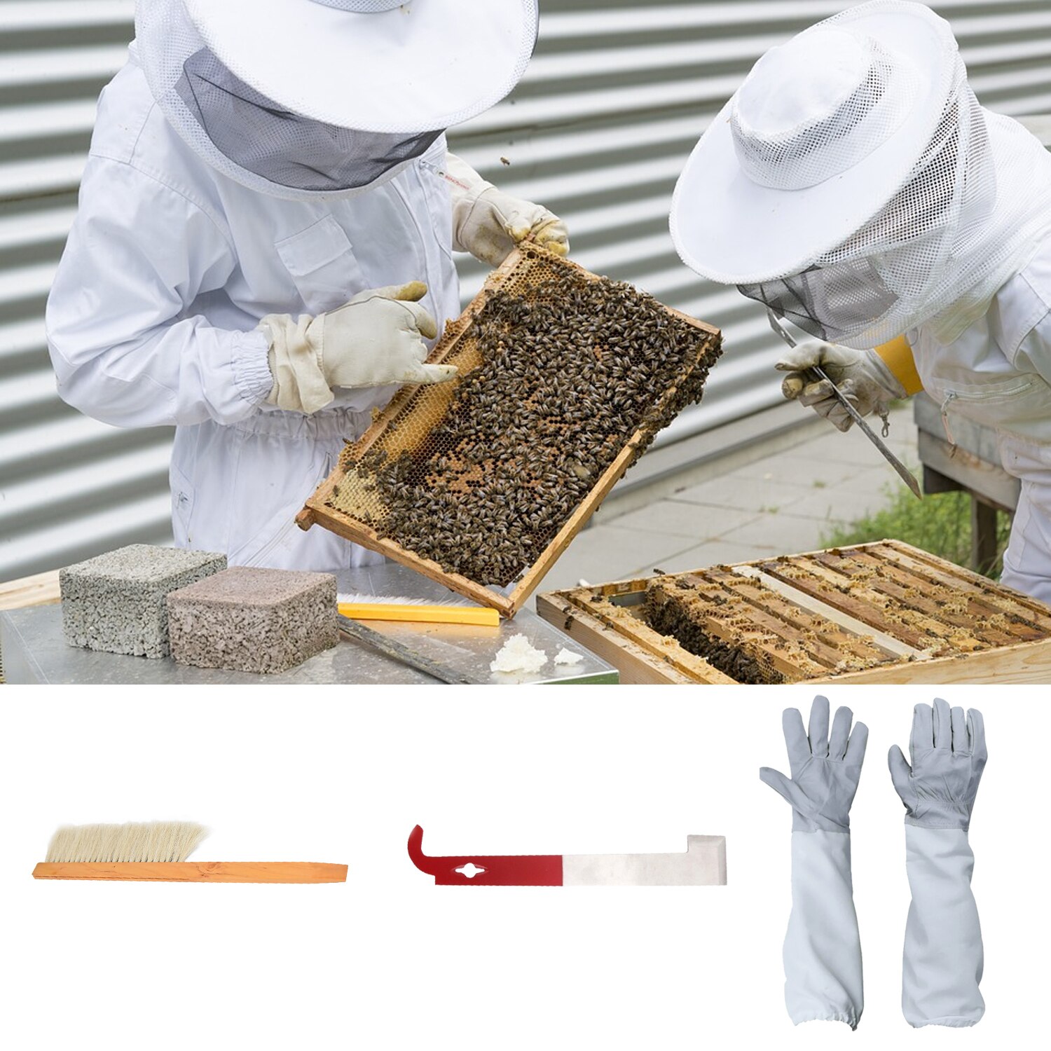 Guantes de chaqueta de apicultura, mangas protectoras, colmena, gancho J, herramienta para colmena, colmena, cepillo, colmena, conjunto de herramientas