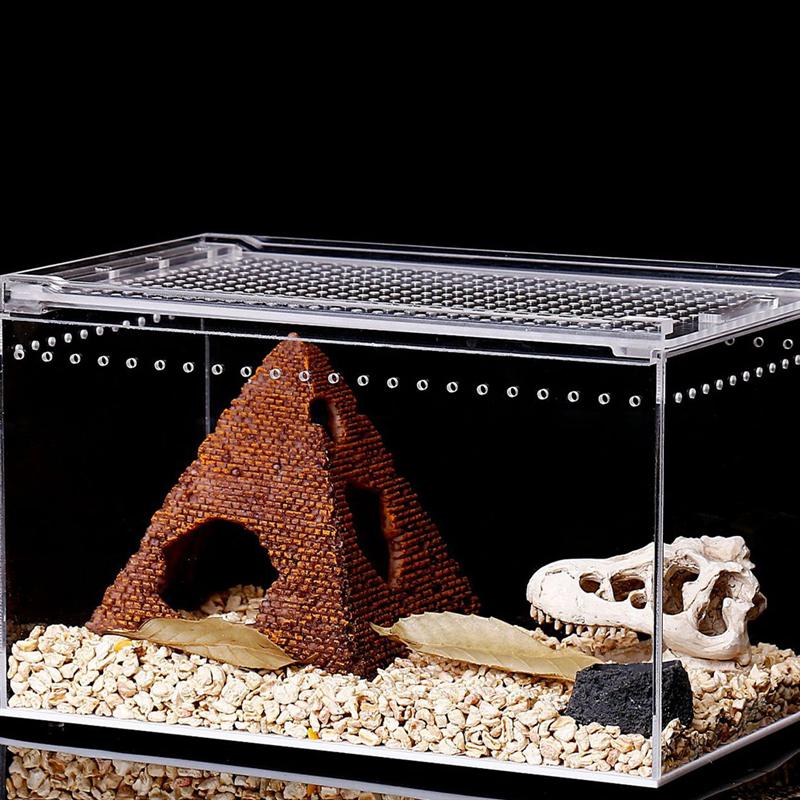 Nido de reptiles acrílico duradero, caja de alimentación práctica, suministros para reptiles, nido para cría de árboles, Rana, lagarto, camaleón, 1 unidad