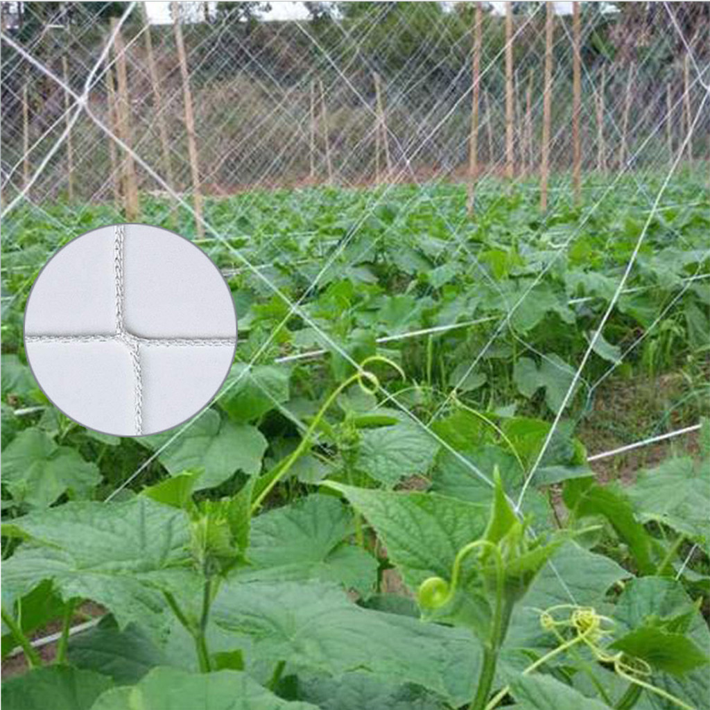 Gardening Tools Plant Climbing Growth Net Weaving Polyester Net Climbing Mesh Square Network Plant Trellis Netting Heavy-Duty