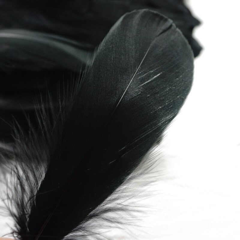 Refining Natural Feather Colourful Small Goose Feathers 3-8cm Photography props for Photo Background DIY Decoration