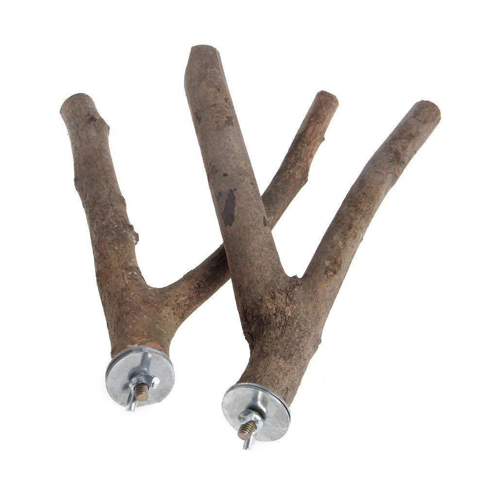 Nature perruche pour animaux de compagnie perruche suspendus jouer jouets oiseau Cage bois branche support perchoirs perroquet en bois Resk support Perches plate-forme