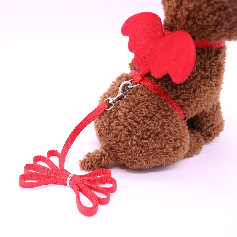 Kleine Hond Kat Riem Leuke Angel Wing Set Verstelbare Hond Met Nylon Riem Angel Wing Kraag Huisdier Lood Kat Hond met Leuke Accessoires: Red / S