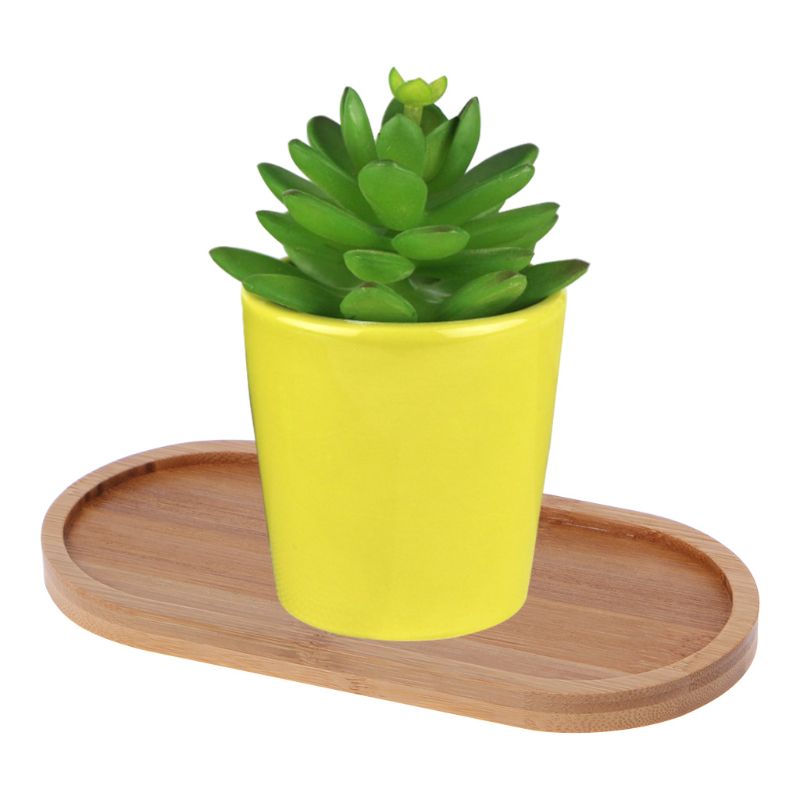 Oval Shape Bamboo Wood Saucer Plant Tray Mini Plant Flower Pot Stand Favor Succulent Pot Tray Simple Home Balcony